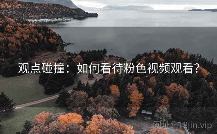 观点碰撞：如何看待粉色视频观看？