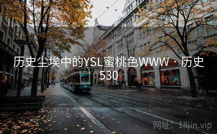 历史尘埃中的YSL蜜桃色WWW · 历史530