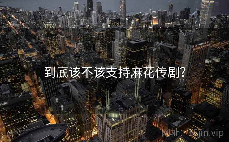 到底该不该支持麻花传剧？