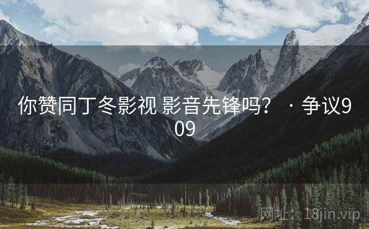 你赞同丁冬影视 影音先锋吗？ · 争议909