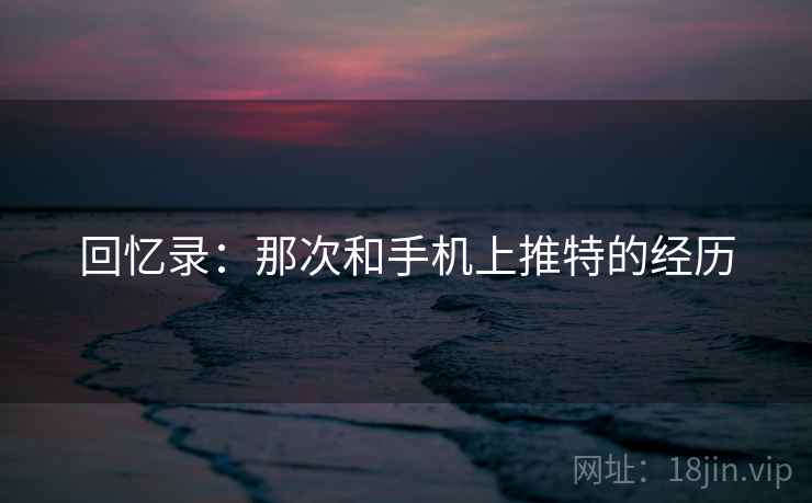 回忆录:那次和手机上推特的经历